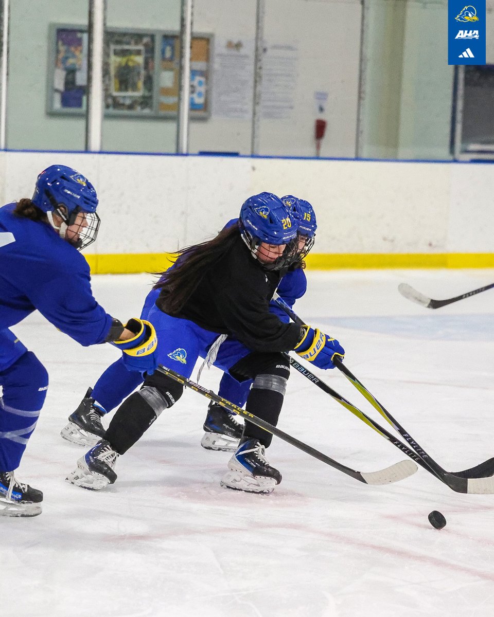 Delaware Ice Hockey tweet media