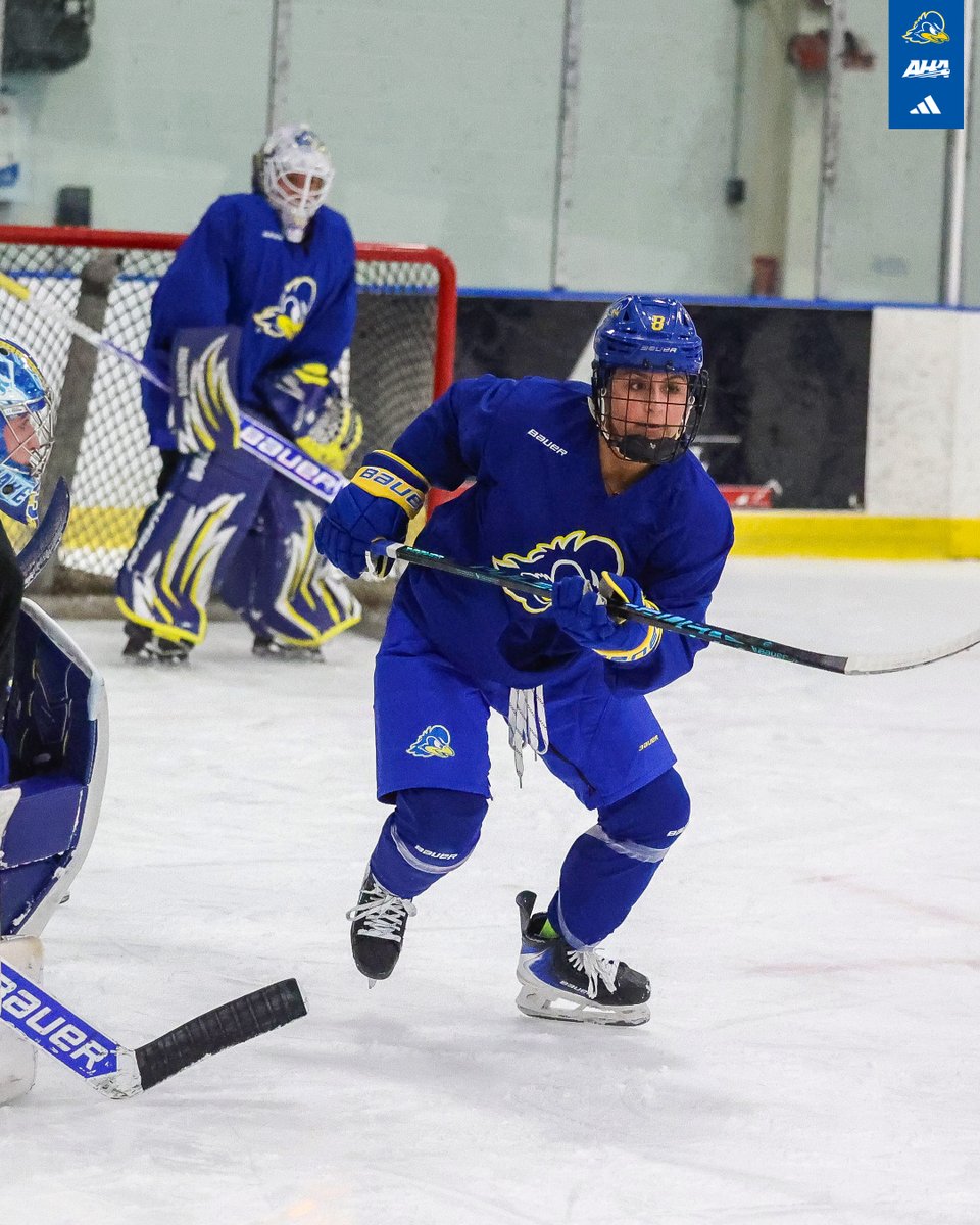 Delaware Ice Hockey tweet media