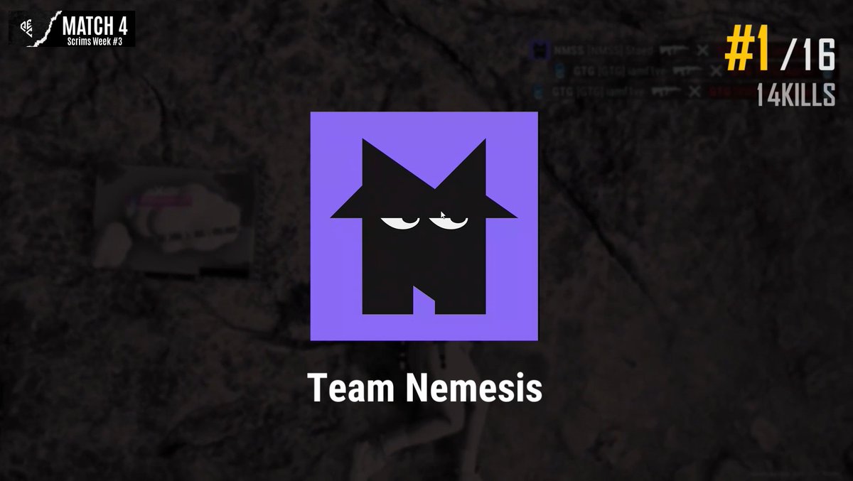 Team Nemesis tweet media