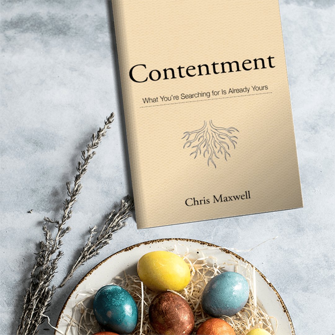 True Potential Media tweet media