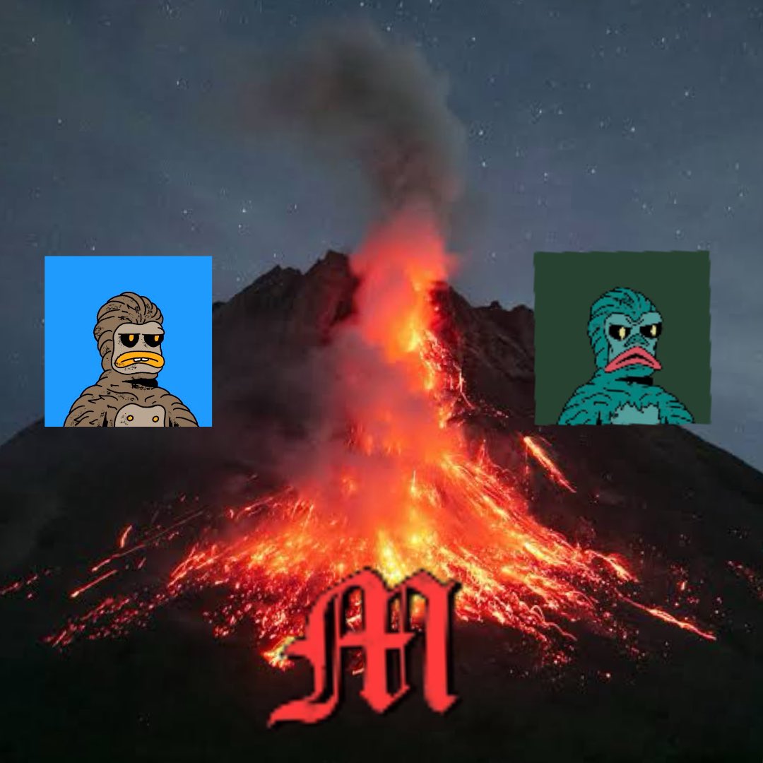 coolmonke tweet media