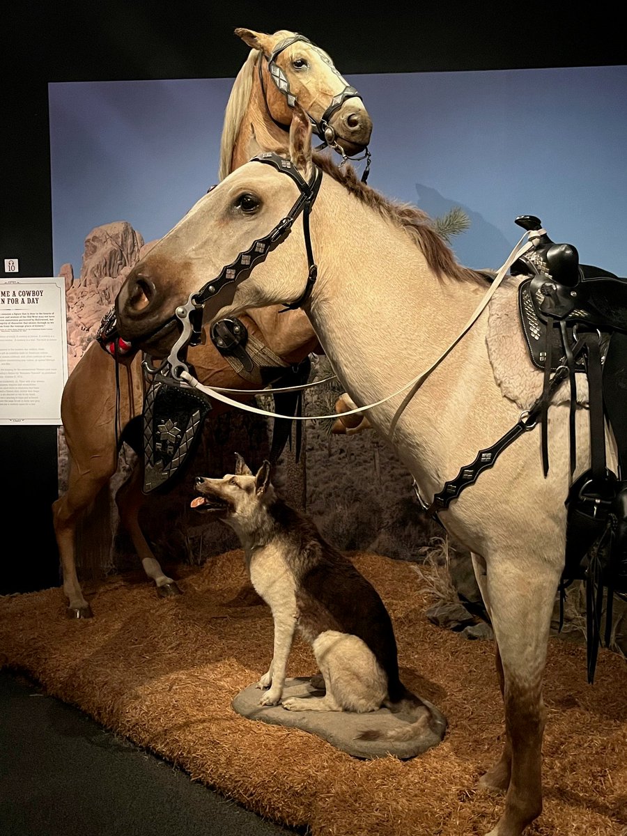 Henry C. Parke tweet media