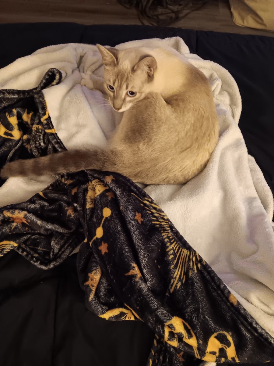 🪴B-Low🪴 tweet media