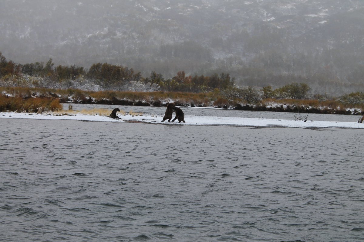 Capt FAFO tweet media