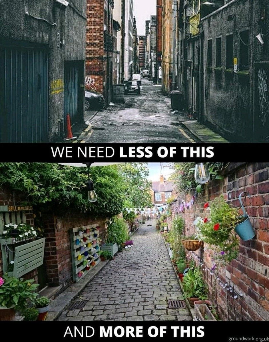 𝘤𝘢𝘣𝘪𝘯 𝘷𝘪𝘴𝘶𝘢𝘭𝘴 ❁࿐❁ tweet media