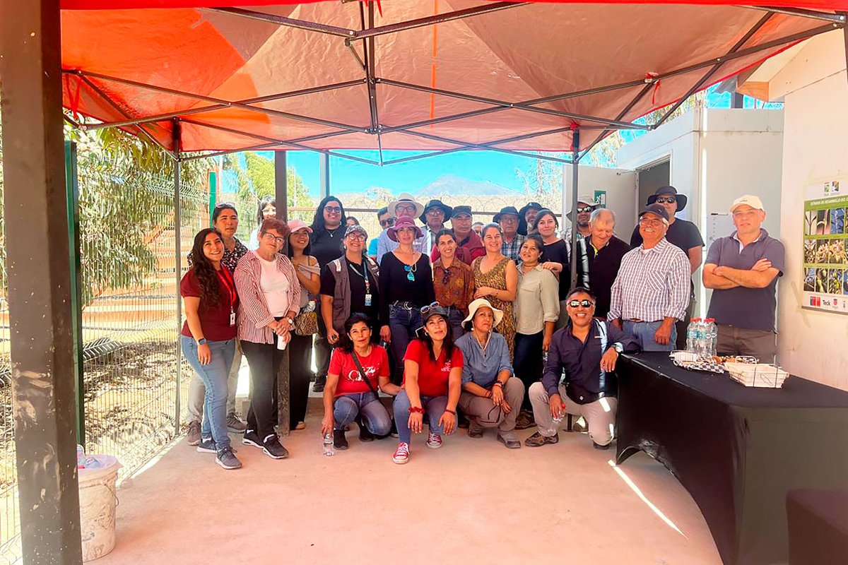 Universidad de Santiago de Chile tweet media