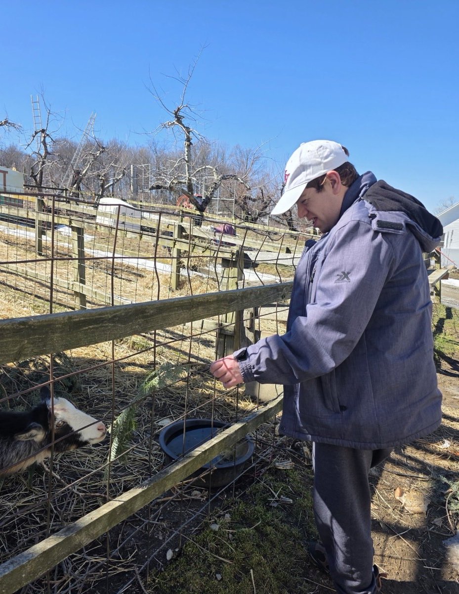 Greystone Programs, Inc. tweet media