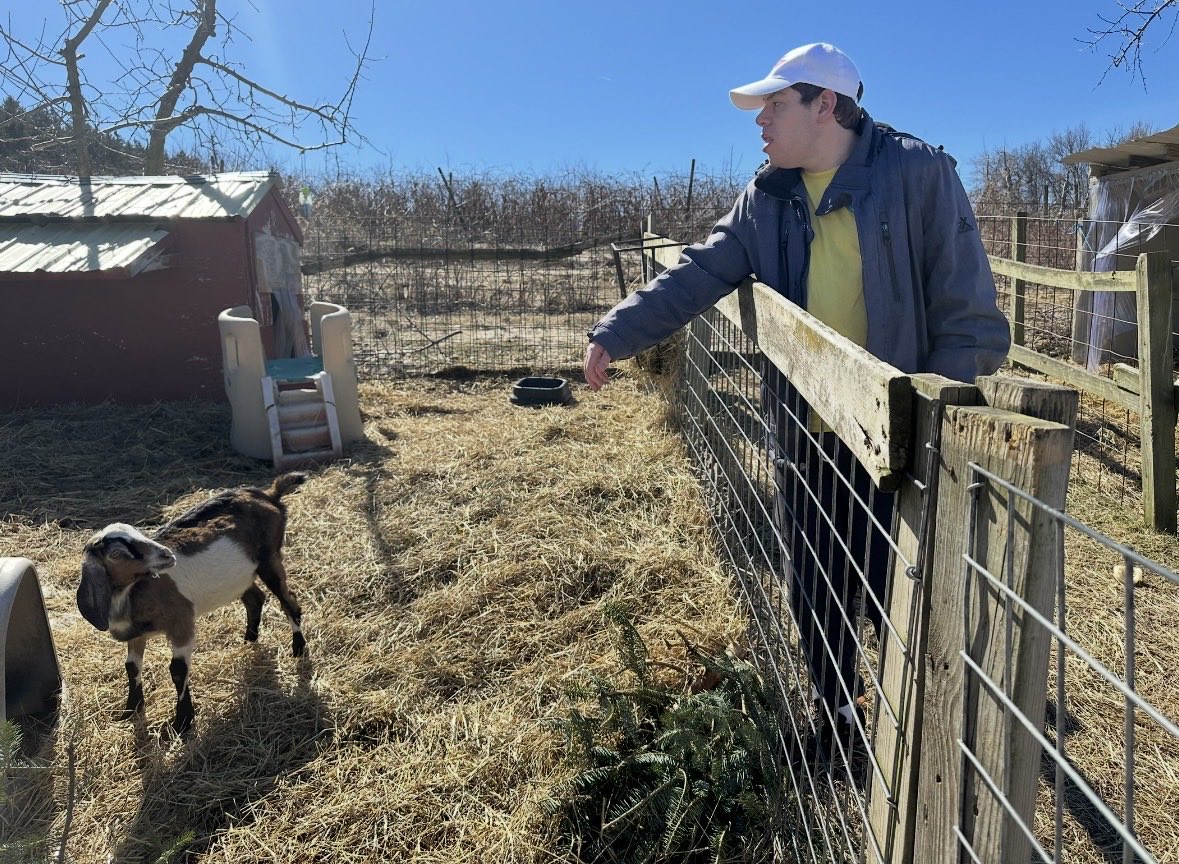 Greystone Programs, Inc. tweet media