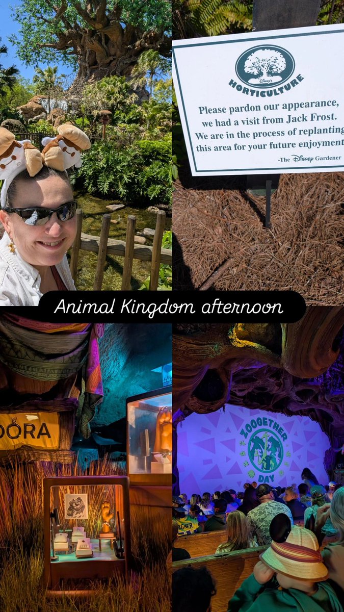 Rhea Hansen, M.Ed 💜☕🐊 tweet media