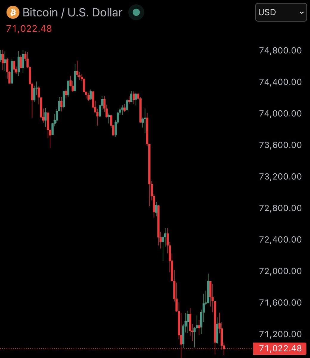 Bitcoin Junkies tweet media