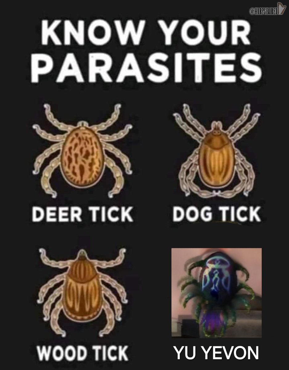 Harpsibored tweet media