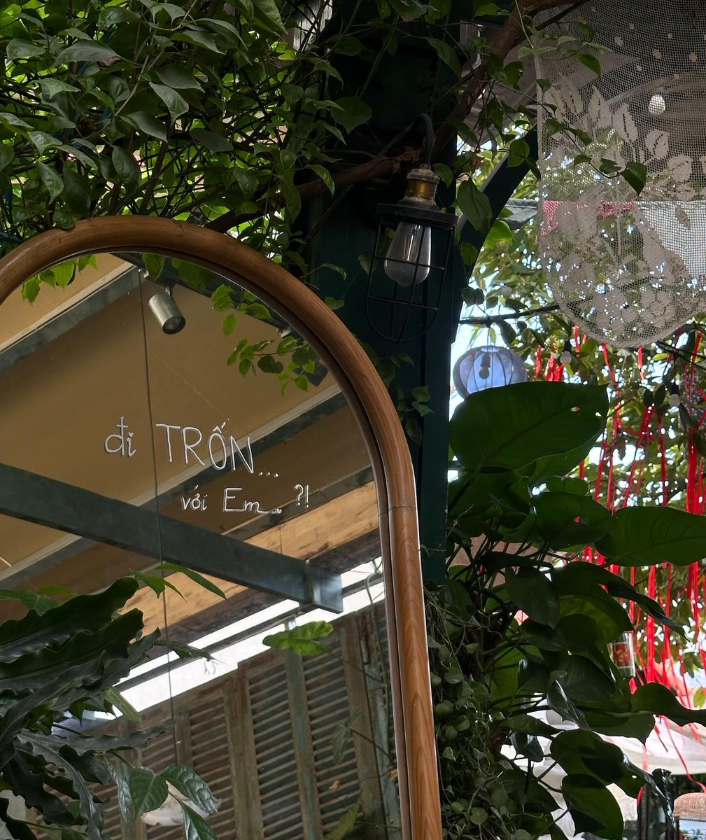 gela janashvili tweet media