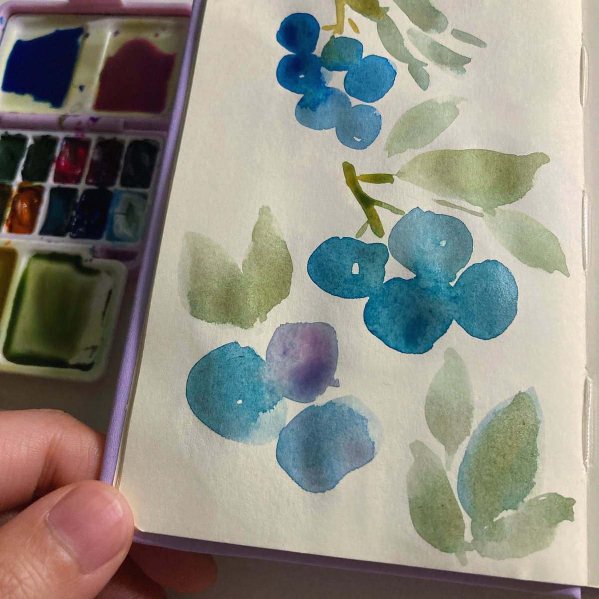 NORI STAR CREAM tweet media