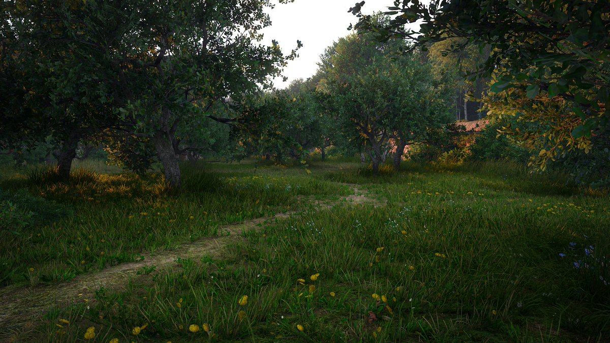 Kcd2 Forrest Kingdome Come Deliverance 2 #kcd2