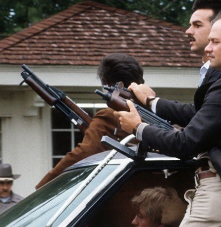 T_p_tio 🎈 tweet media