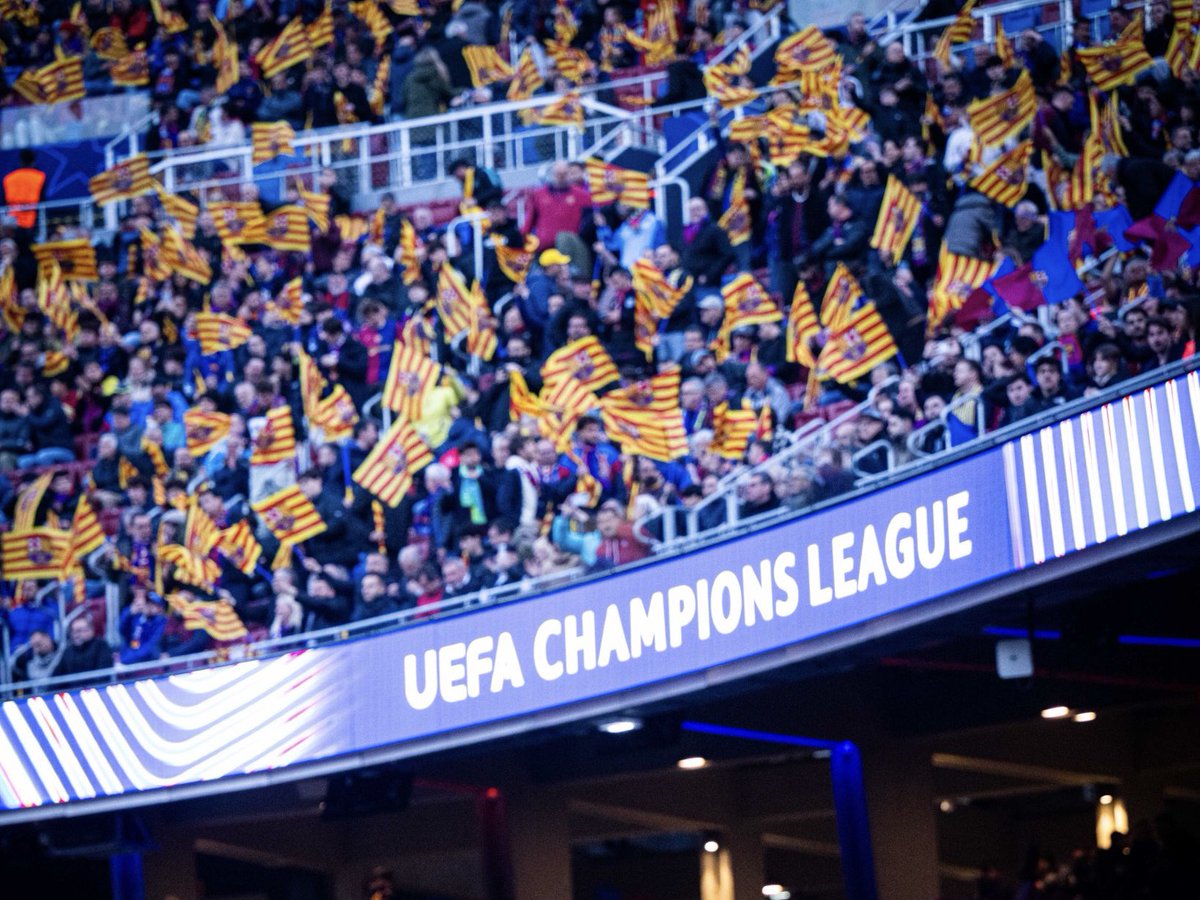 berni alvarez tweet media