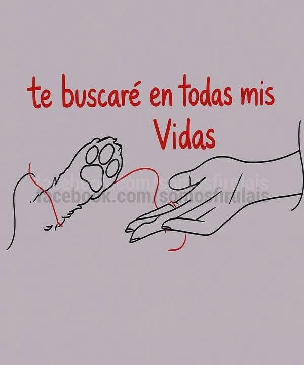 ManuSaenzVolvio's tweet photo. ❤️ https://t.co/vvaeRHQDfl