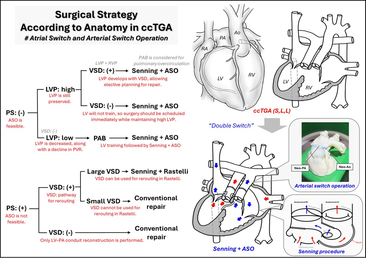 WithAScalpel tweet media