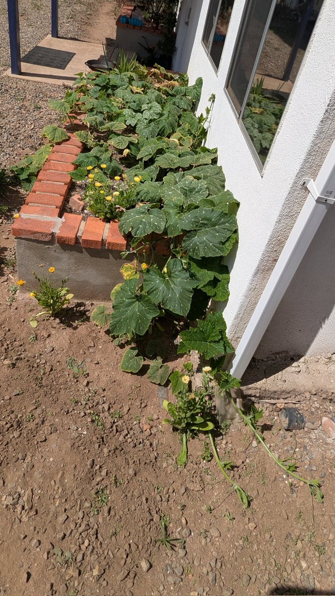 ★Ruby_Knox★ tweet media