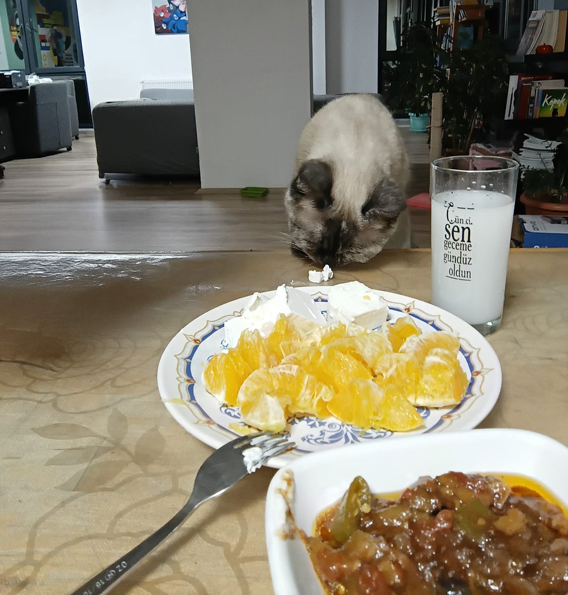 Şendoğan Yazıcı 🏴 tweet media