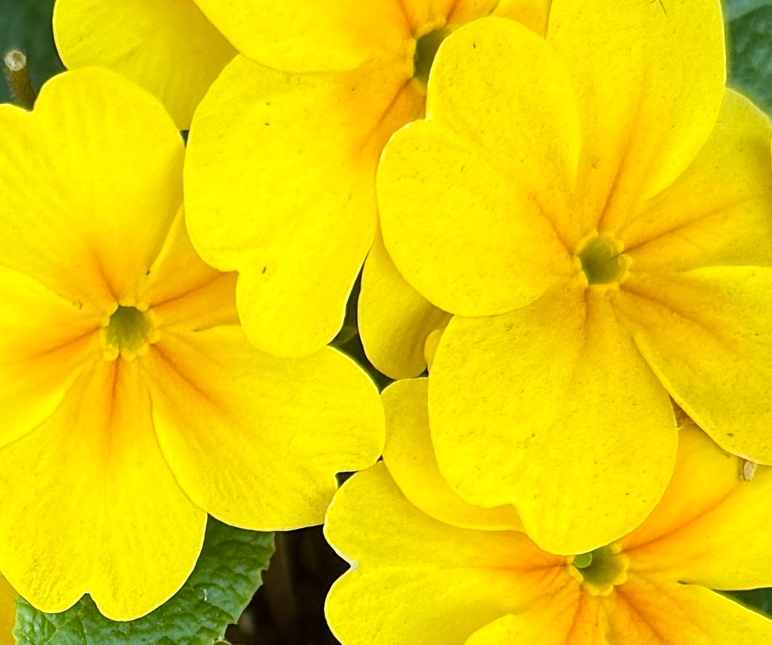 Reimagining Politics tweet media