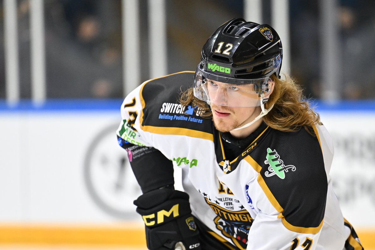 Panthers Images tweet media