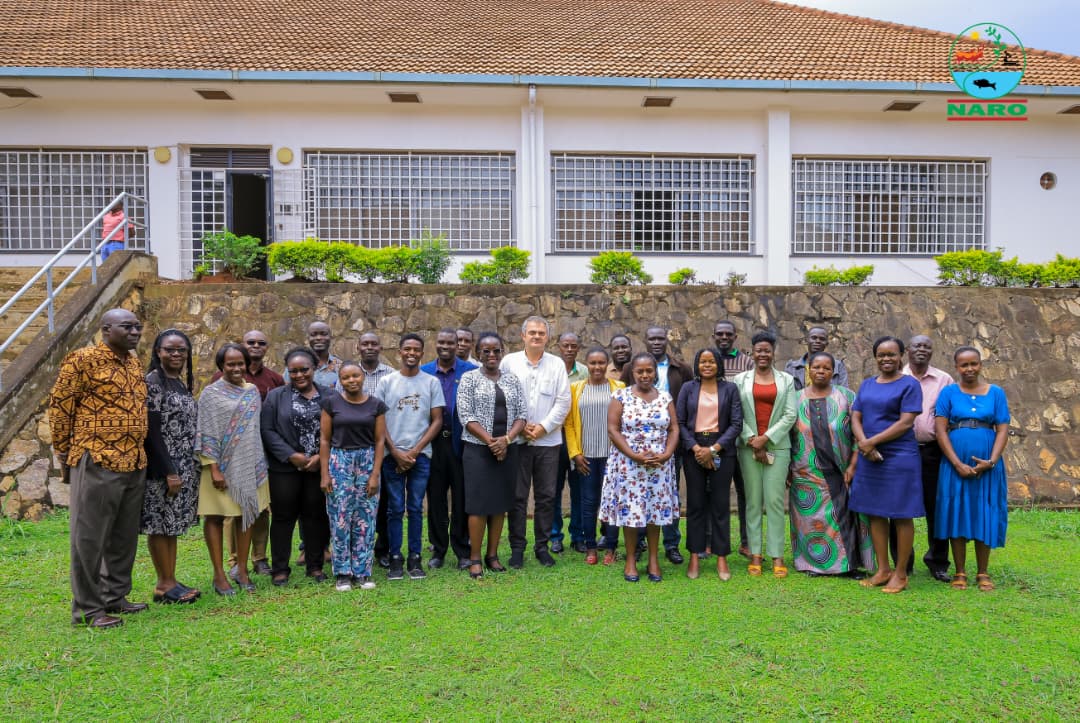 NARO_NaCRRI's tweet image. Stakeholders met @NARO_NaCRRI for the #commonbean #product advancement &amp;amp; #planning meeting with @BiovIntCIAT_eng  aligning #breeding with #market needs, advancing red mottled, yellow &amp;amp; sugar #bushbeans to boost nutrition &amp;amp; farmer livelihoods.