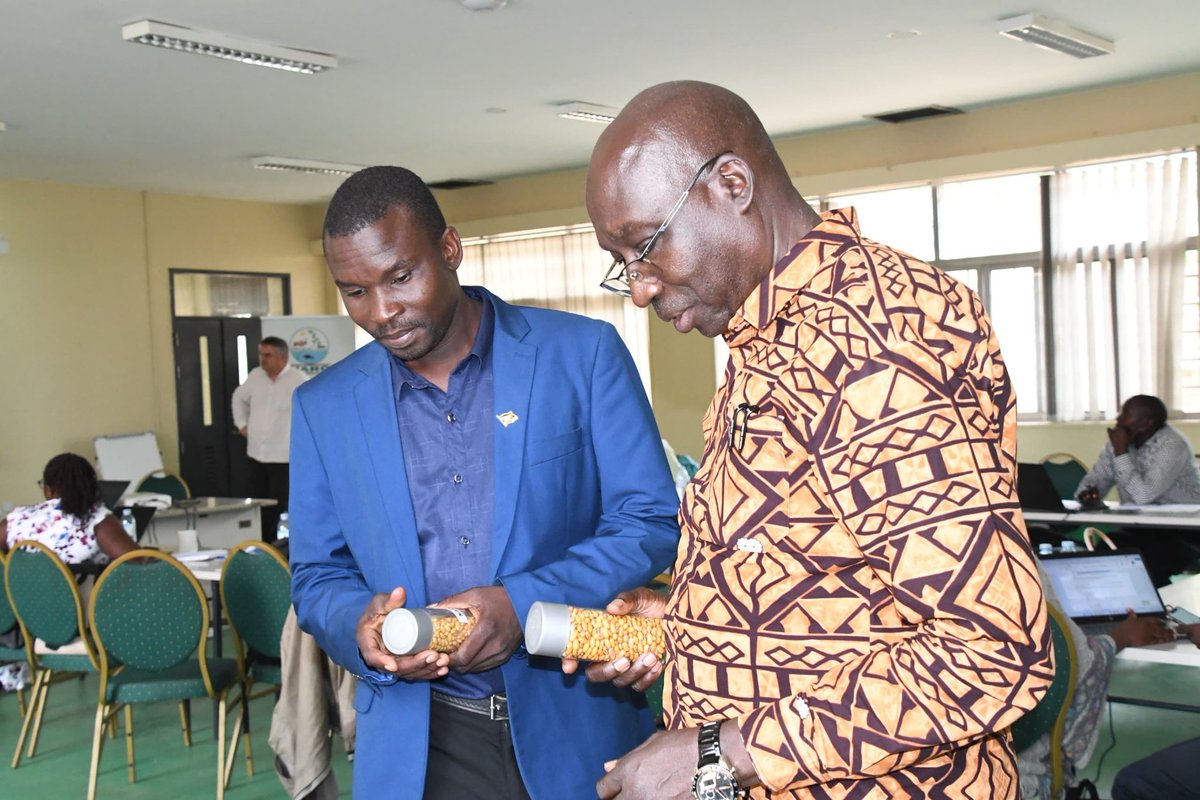 NARO_NaCRRI's tweet image. Stakeholders met @NARO_NaCRRI for the #commonbean #product advancement &amp;amp; #planning meeting with @BiovIntCIAT_eng  aligning #breeding with #market needs, advancing red mottled, yellow &amp;amp; sugar #bushbeans to boost nutrition &amp;amp; farmer livelihoods.