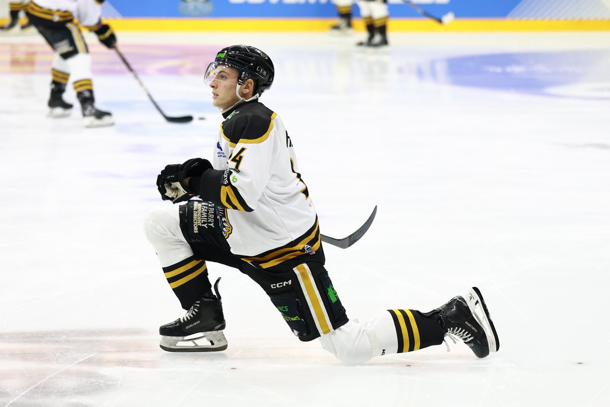 Panthers Images tweet media