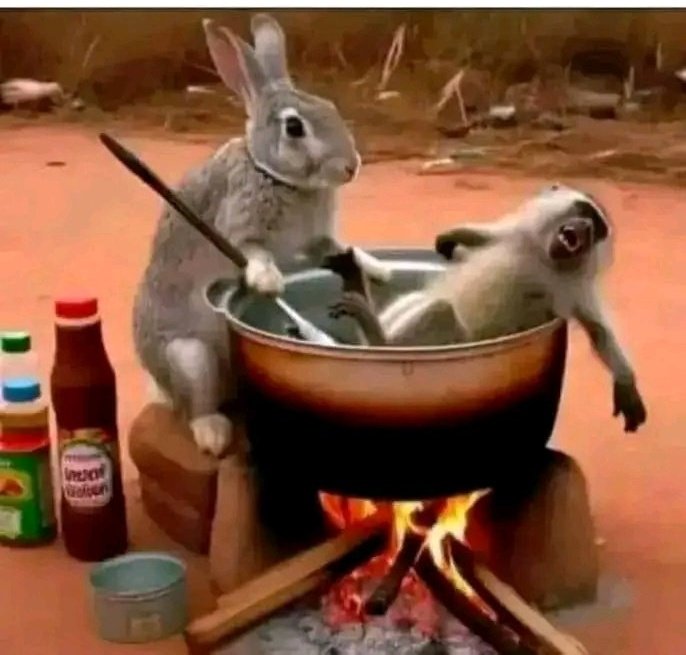 skilled rebhara tweet media