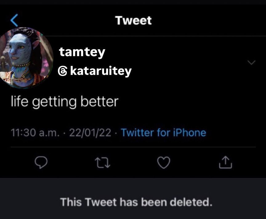 iris 🌙 tweet media