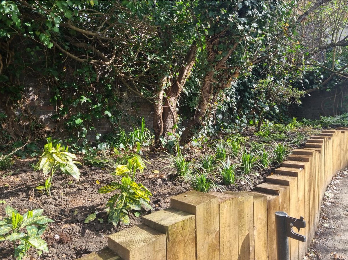 Sarahassan_lv's tweet photo. Delighted to see that the new beds by #LittleVenice Sports Centre and the King Solomon Y/Y school have been planted. This area was neglected but after a long campaign it’s had some TLC and is now looking fabulous! https://t.co/4WKRedUyJV
