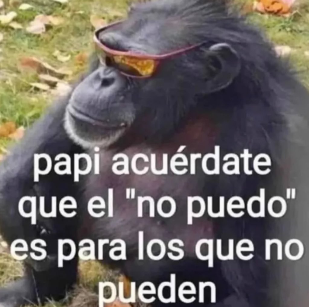 memes feos yo qué sé tweet media