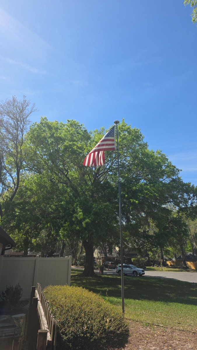 🅿️atrick tweet media