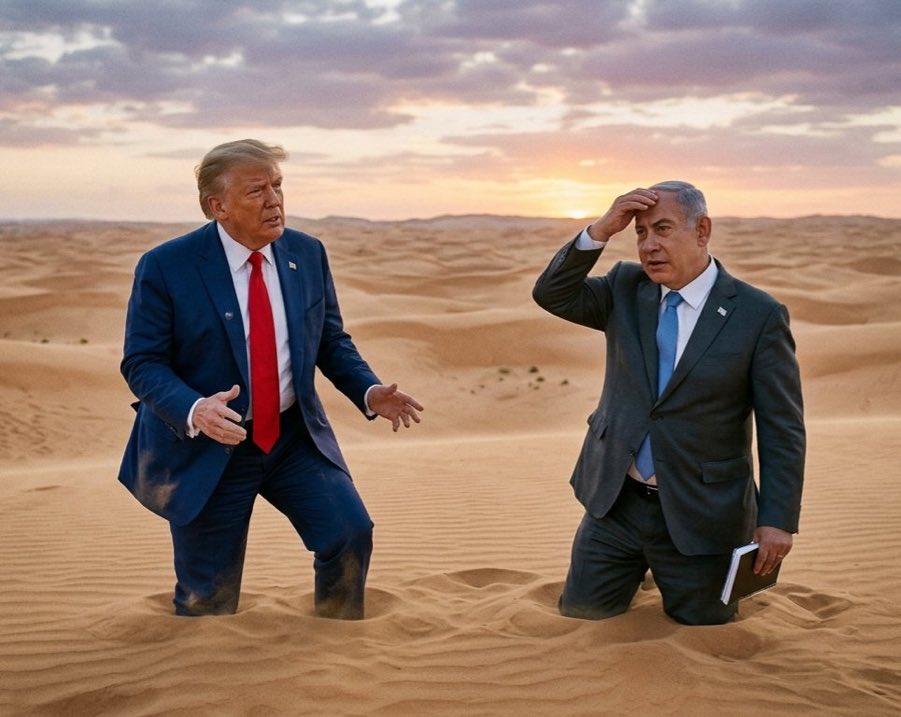 눈물의 호소: 국힘당 해체는 국익1호 tweet media