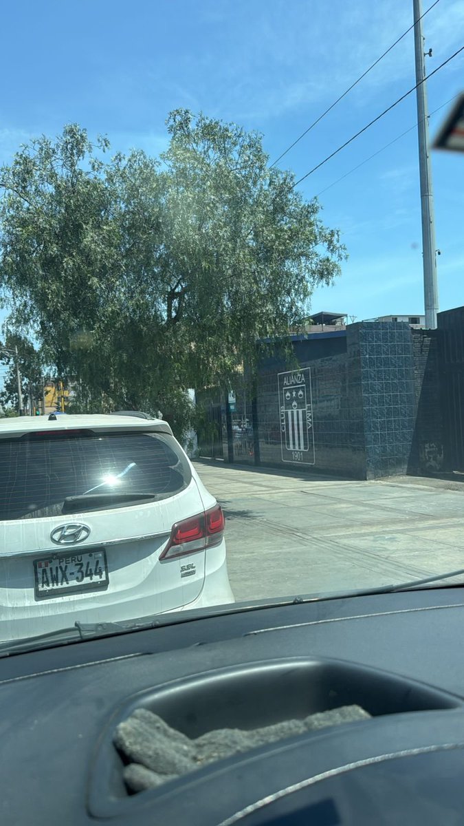 GabrieliSCmo tweet media