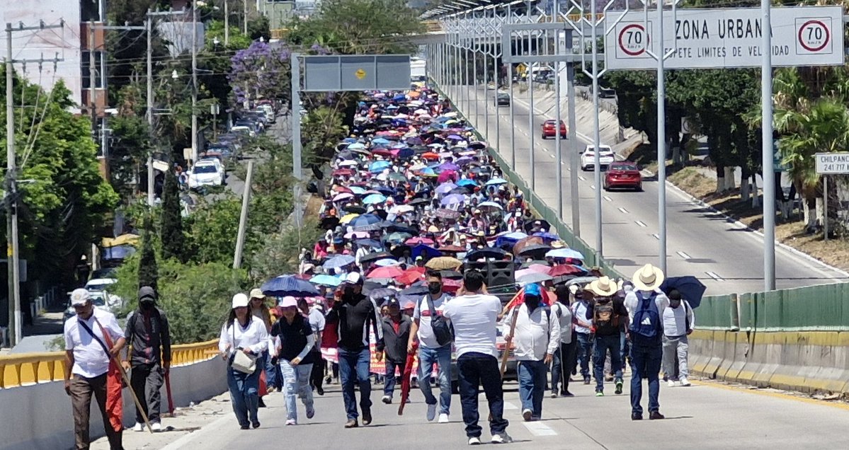 ReporTorres tweet media