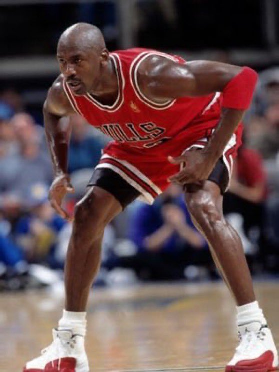 moose 🐦‍🔥 tweet media