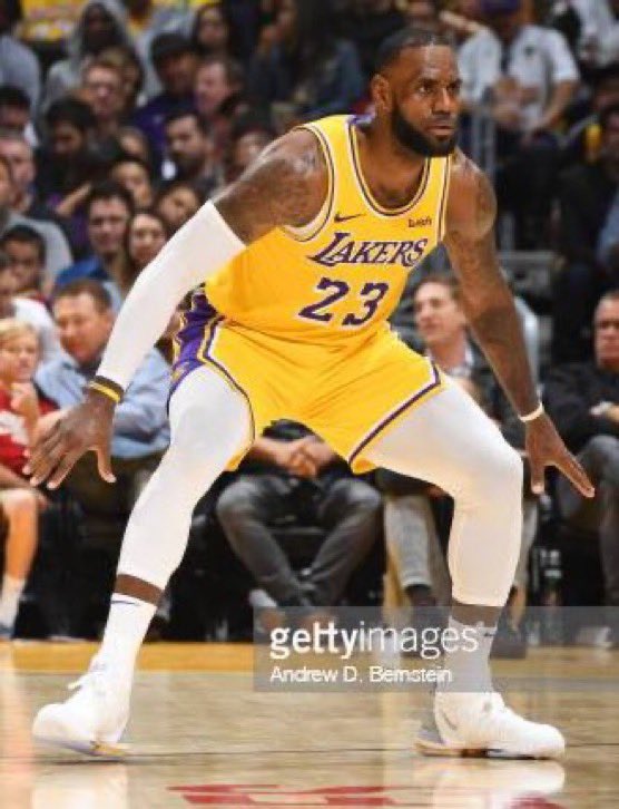 moose 🐦‍🔥 tweet media