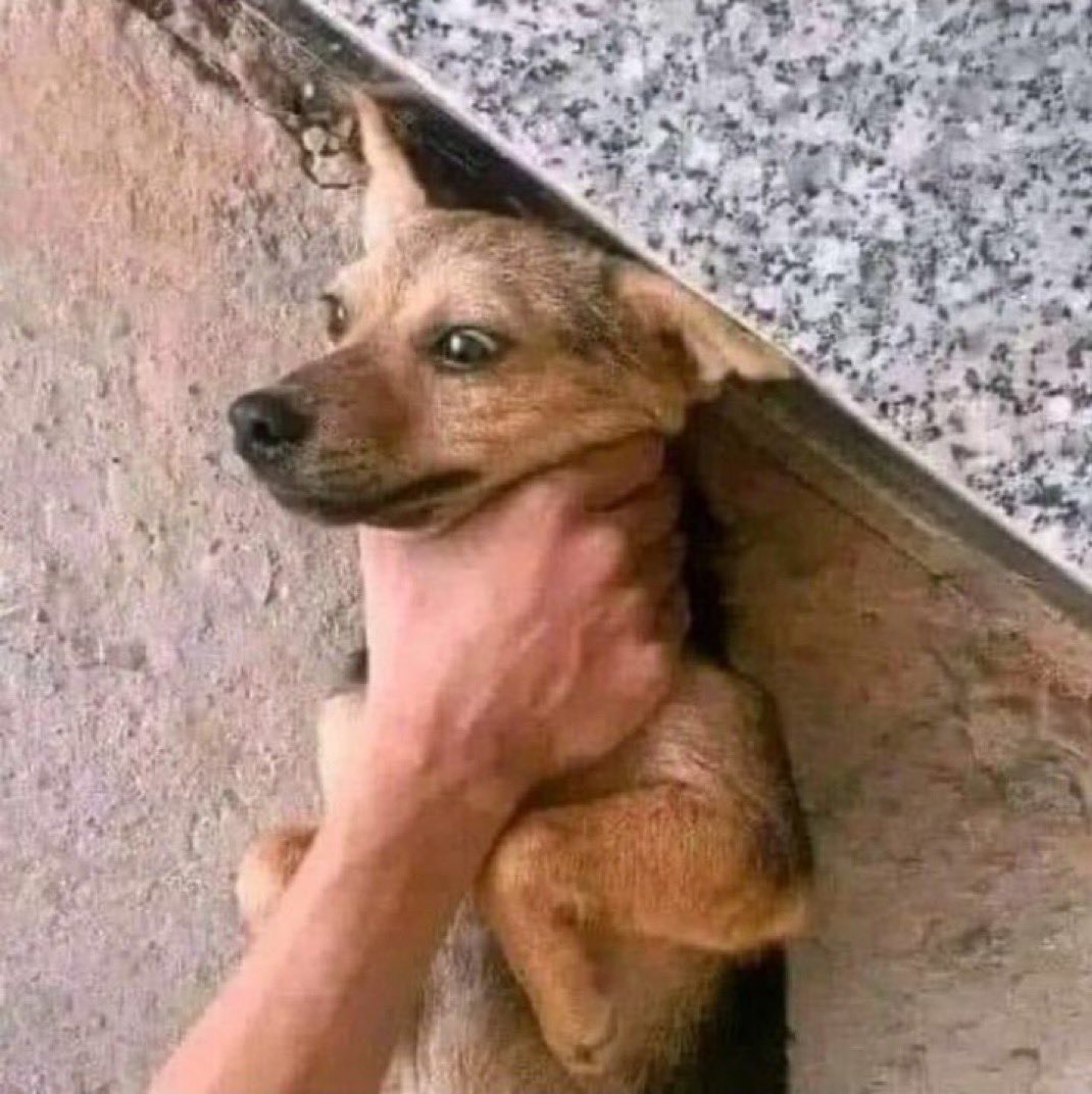 Kofi Reps tweet media