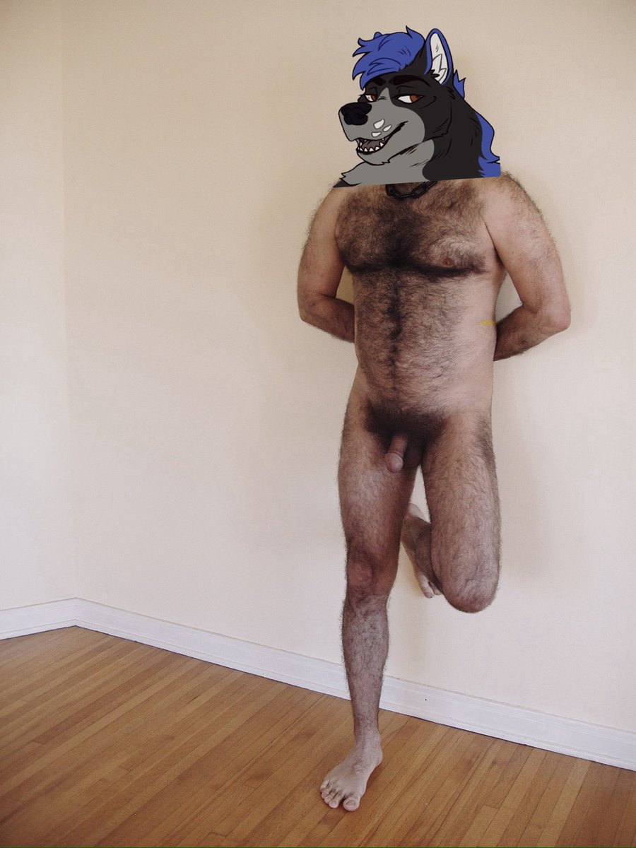 Pup_Rix ➡️ LVFC ‘26 tweet media