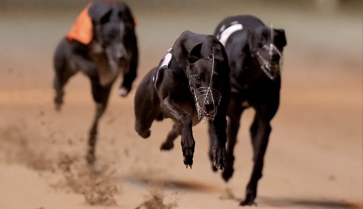 Richardlewisevans tweet media