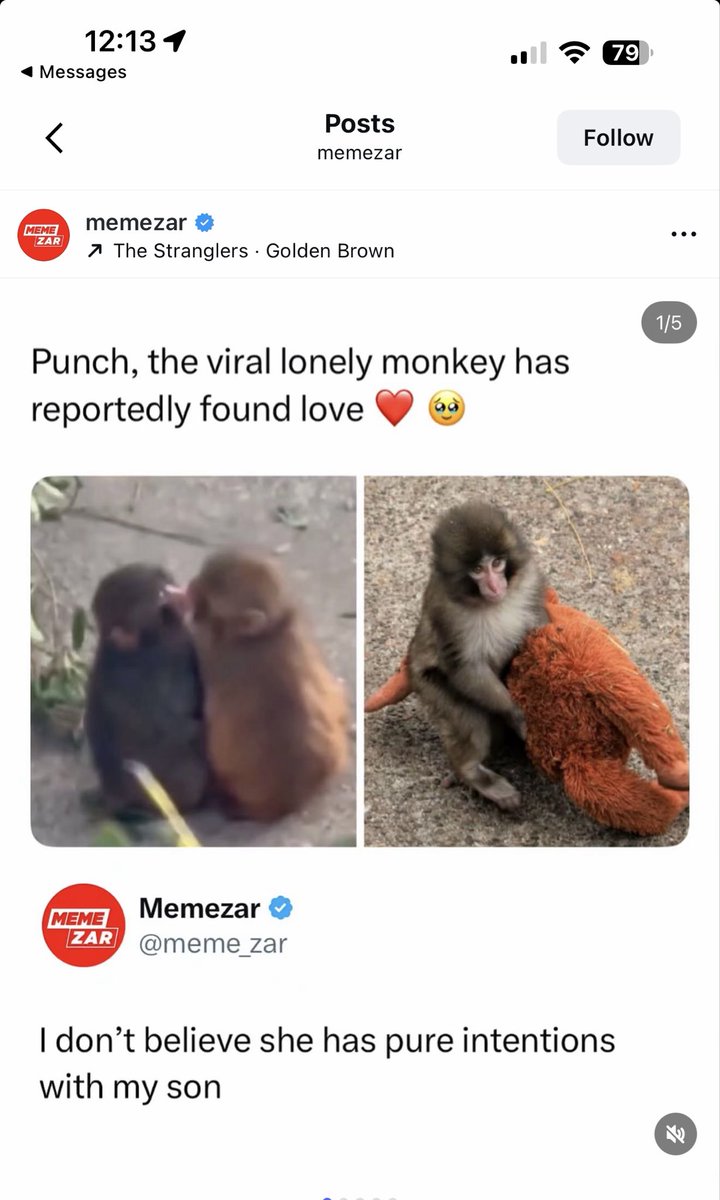 Patches O’Houlihan tweet media