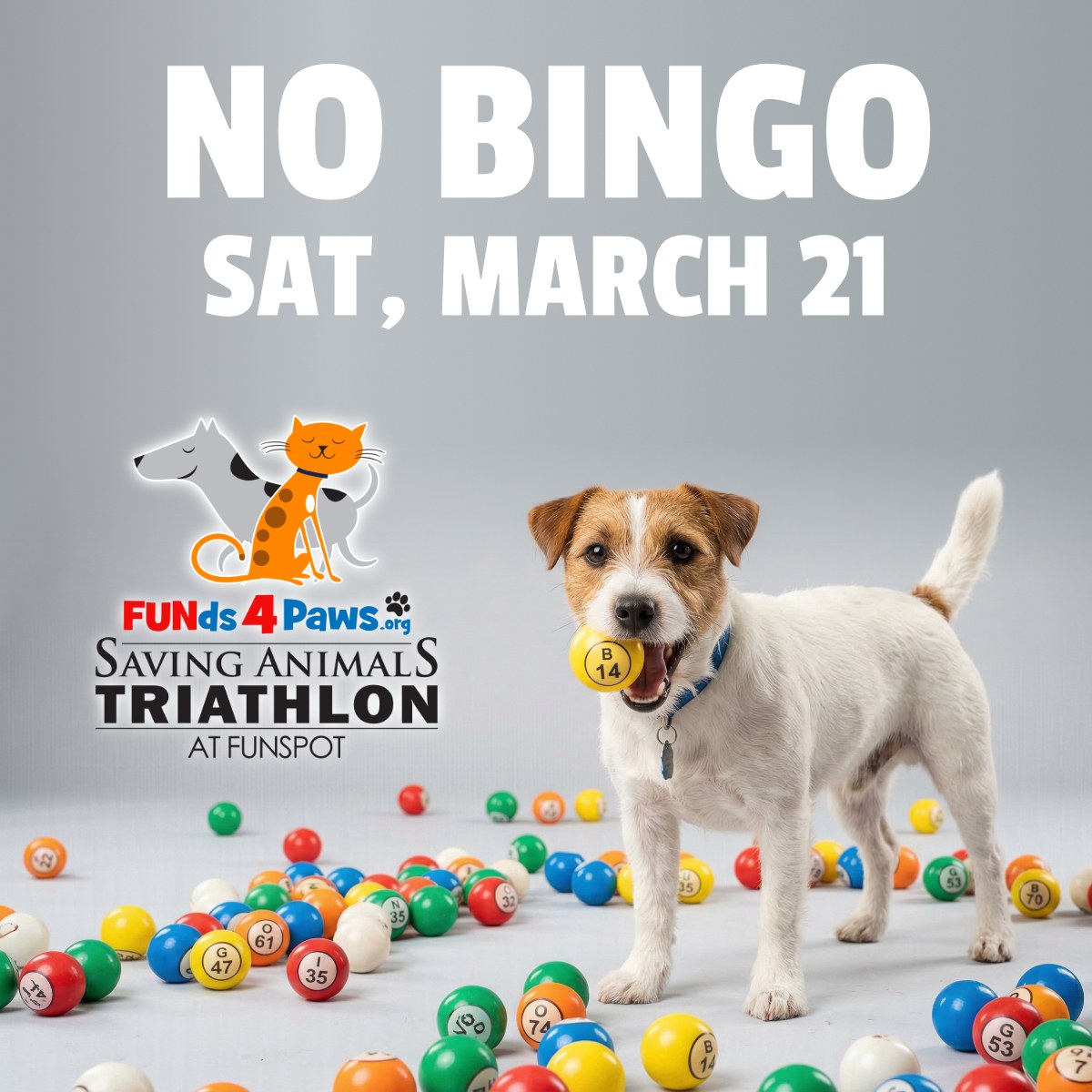 funspotnh's tweet image. 🚨 Heads up, Bingo fans! 🚨
No Lake Winnipesaukee Historical Society Bingo this Saturday night at Funspot. ❌🎱
We’ll be busy saving animals 🐾 at the FUNds4Paws Indoor Triathlon! 🐕💙
Join us for the fun &amp;amp; support a great cause!
#FunspotNH #FUNds4Paws #NHEvents