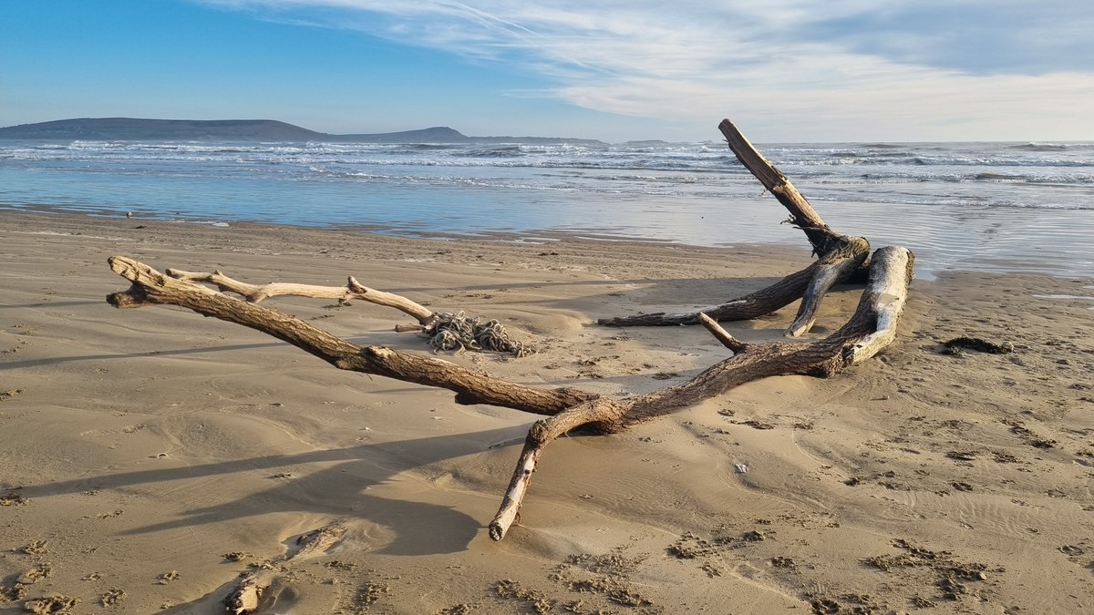 Duncan Willis tweet media