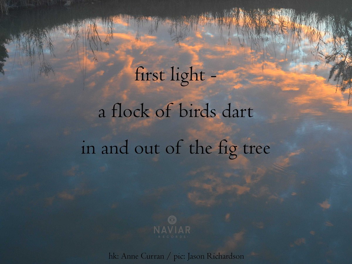 Naviar Records tweet media