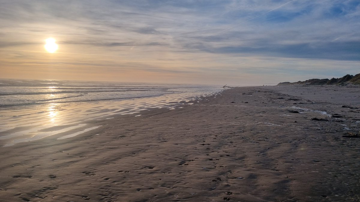 Duncan Willis tweet media