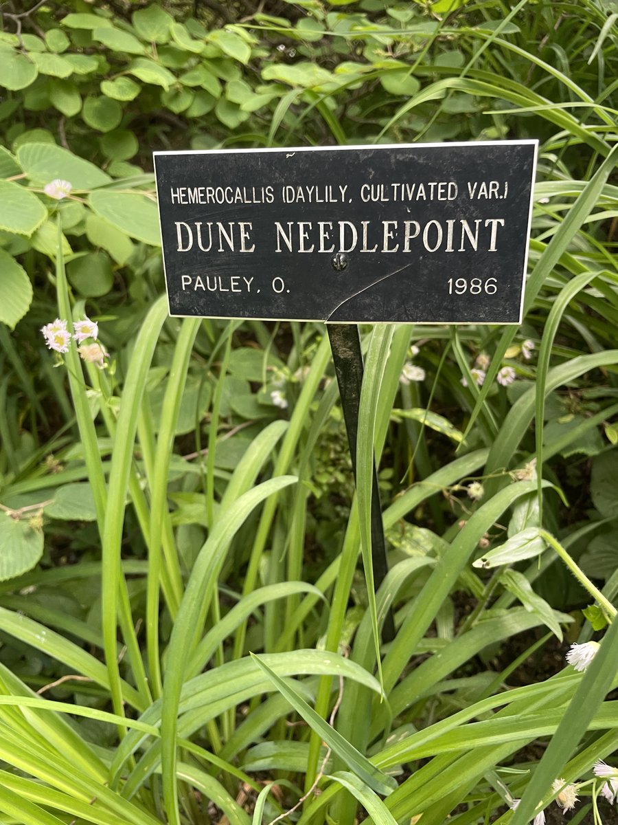 Geoffrey Haggerty tweet media