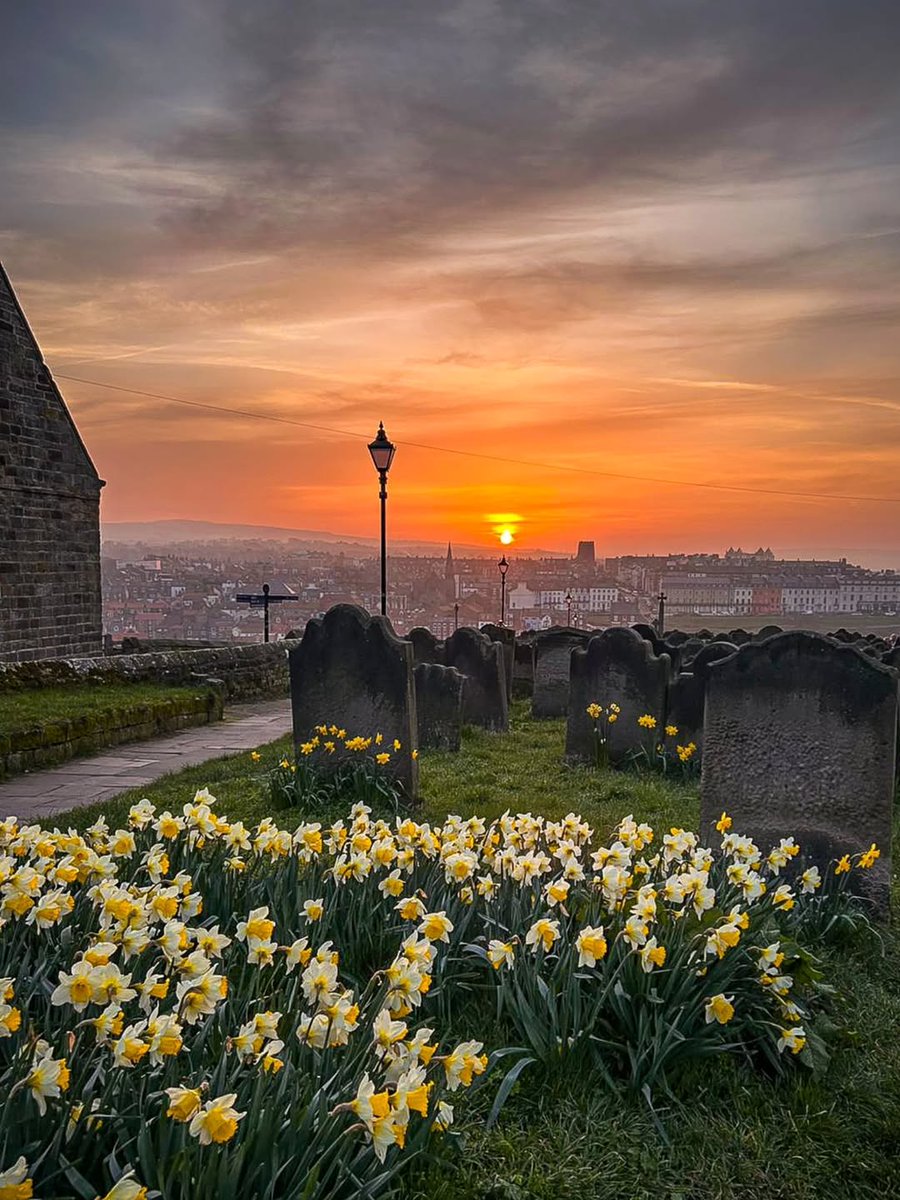 North Yorkshire tweet media