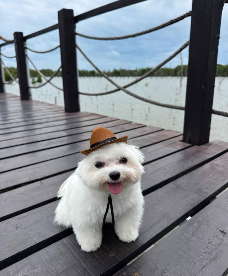 Ghost Azure tweet media